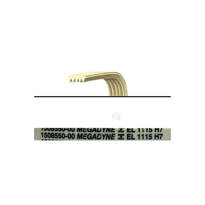 ELECTROLUX, REX, ZANUSSI, PRIVILEG, ZANKER, UNIVERSALE - Correa de lavadora 1115 H7 - 1508550009