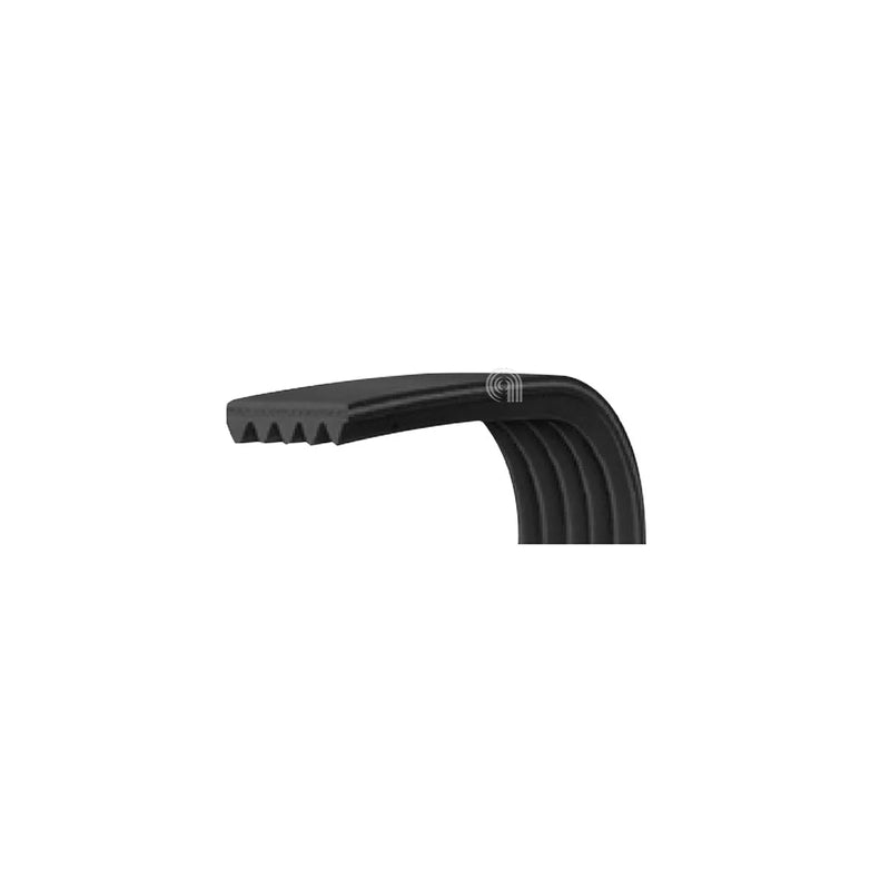ELECTROLUX, ARISTON, FAGOR - Correa Poly-V 1200 J6 para Lavadora - C00028121