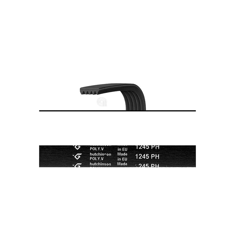 FAGOR - Correa de transmisión H8 1245 Poly-V - AST-00126347