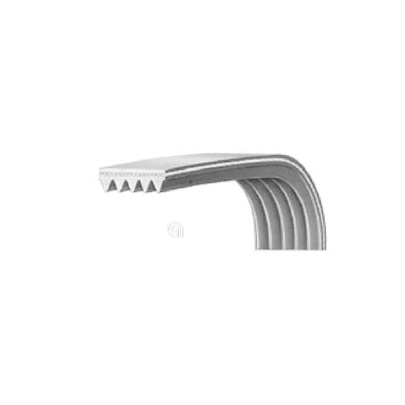 BOSCH SIEMENS BALAY - Correa de Transmisión Poly-V Elástica J5 1189 - 00660579