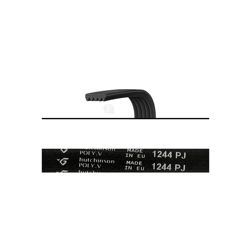 WHIRLPOOL, INDESIT, GORENJE - Correa Poly-V J5 para Lavadora - 1244J5