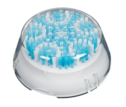 Cepillo y tapa Rowenta CS-00131827
